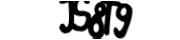 captcha delivery section small