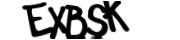 captcha delivery section small